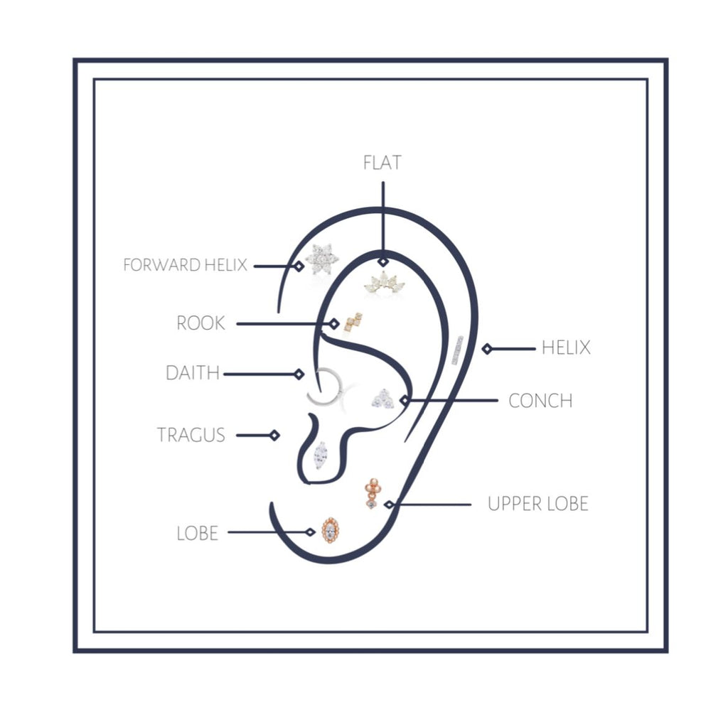 The most popular ear piercing types ً اكثر انواع ثقب الأذن شيوعا